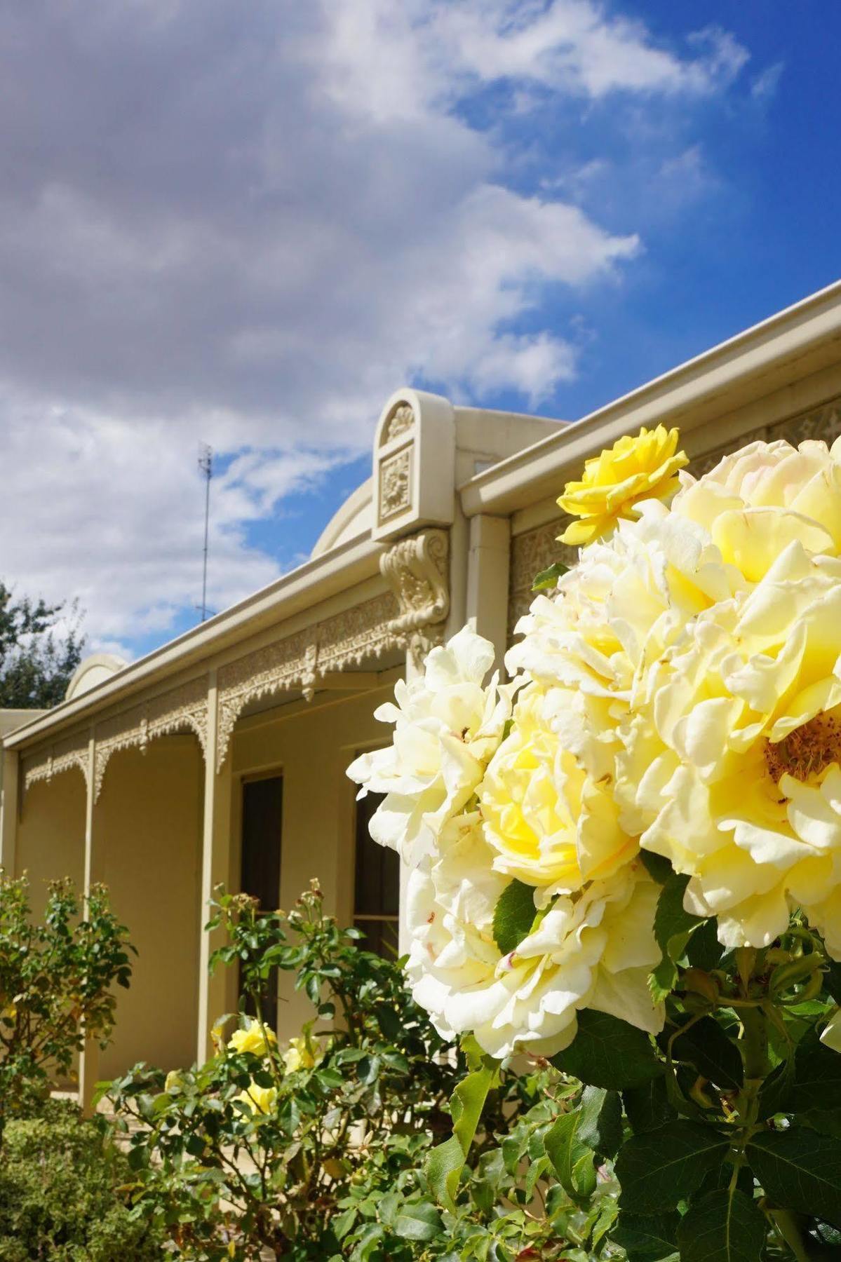 Aparthotel Acacia Terraces Echuca Exteriér fotografie